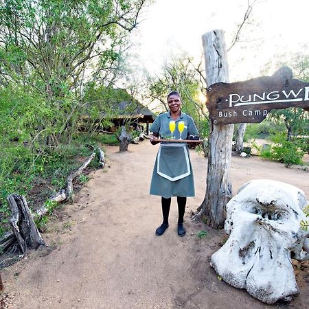 Pungwe Safari Camp Villa Manyeleti Game Reserve Exterior foto